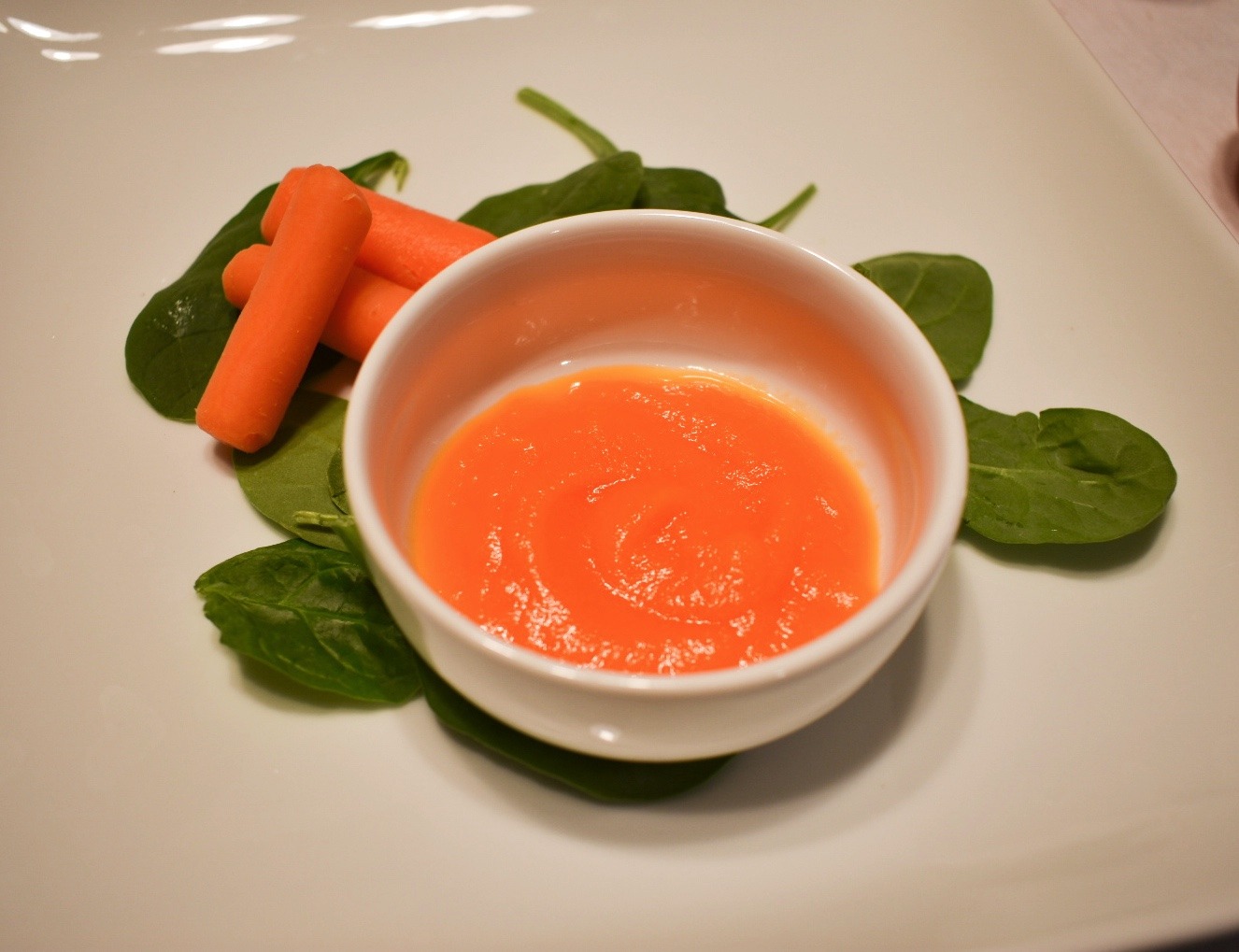 Carrot Baby Food Puree  Stage 1 Baby Food For Your Baby